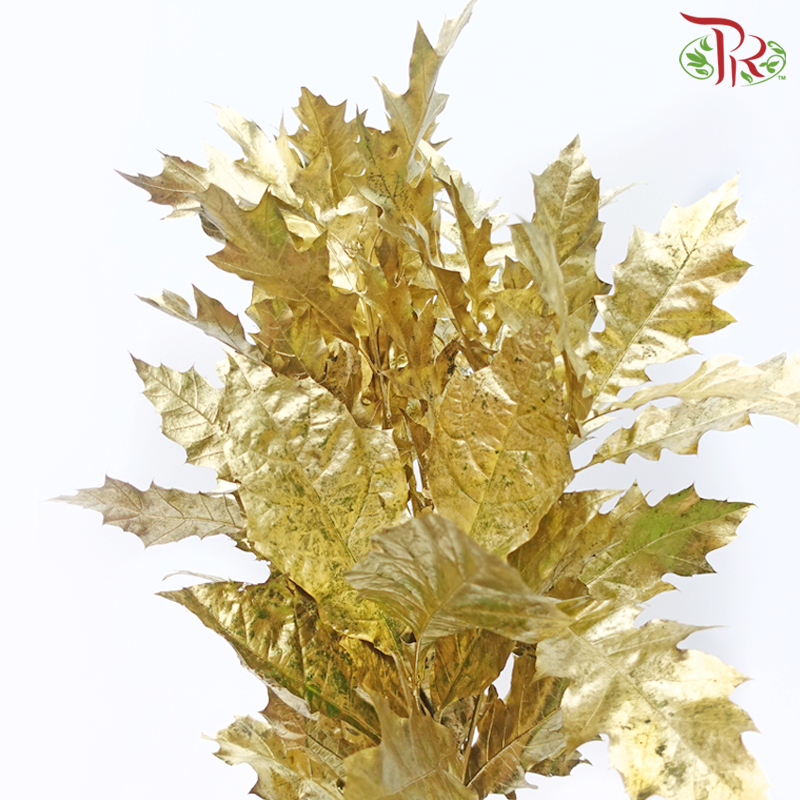 Oak Leaf Dyed -