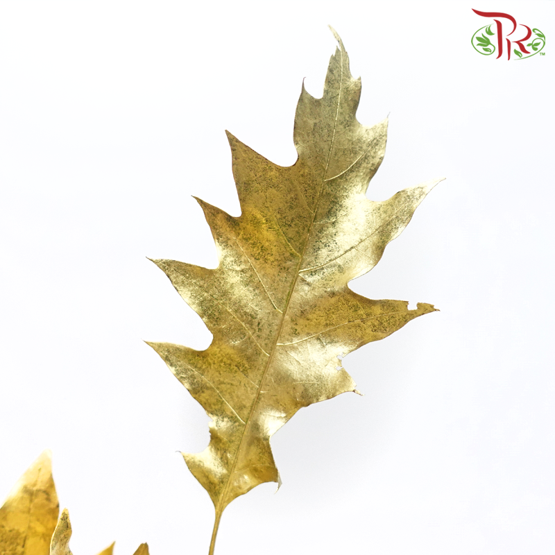 Oak Leaf Dyed -