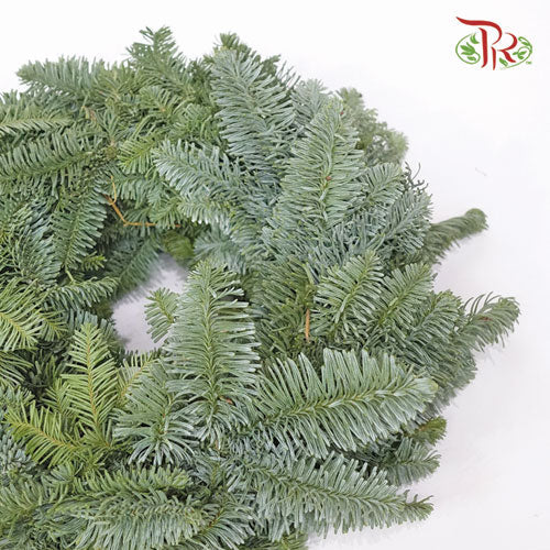 Nobilis Wreath Fully Bound -