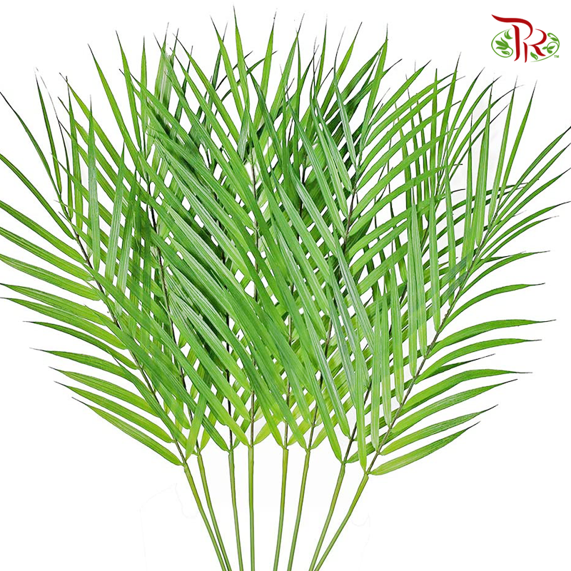 Palm Leaf -