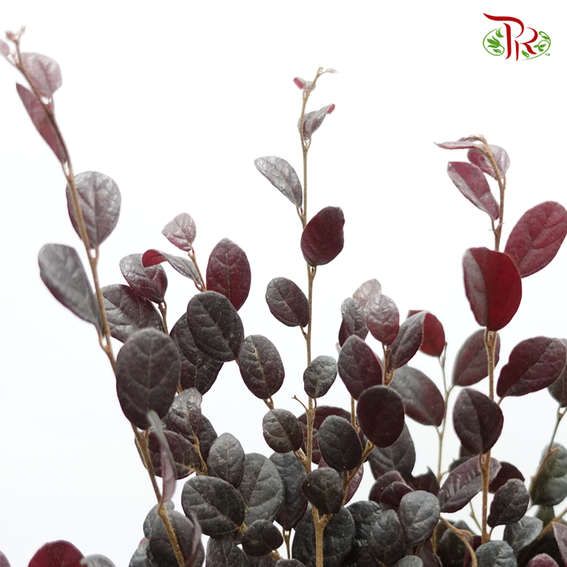 Red Technology Wood -